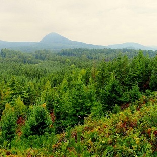 Tschechiche Republik. Quelle: pixabay