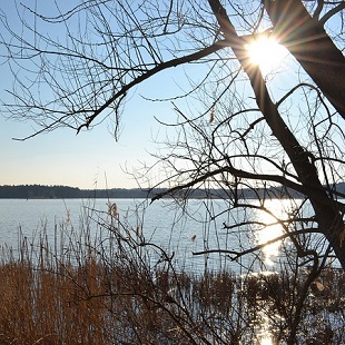 Teich. Quelle: pixabay